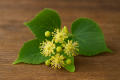 ChatGPT Image 26 lis 2025, 20_17_01.png